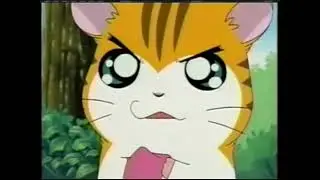 Hamtaro - Stan and Sandy Fight Meme