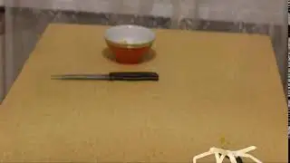 Жук палочник умер!!!