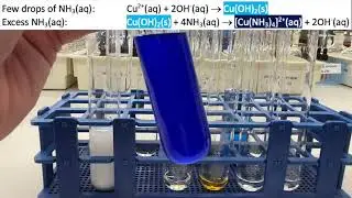 Investigating the action of dilute alkali on metal ions to form metal hydroxide precipitates