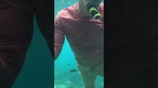КО ЧАНГ! Видео уже в описании 🥰