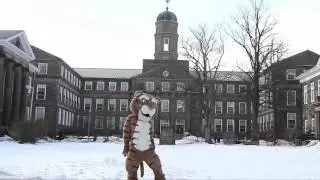 Dalhousie University