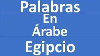 Aprender Palabras En Árabe Egipcio 🇪🇬🇪🇬