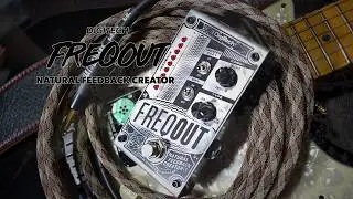 How I Use The Digitech Freqout | My Favorite Setting | Natural Low