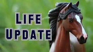 Life-Update // Wo war ich?