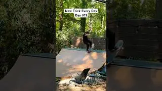 Varial Flip to Blunt Fakie | New Trick Every Day | Day 11