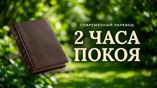 2 часа Библии под звуки природы. Современный перевод Библии 
