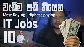 Highest Paying It Jobs