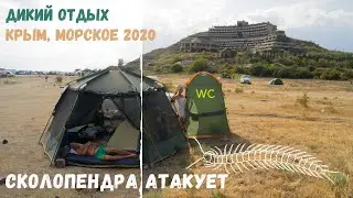 Укусила сколопендра в Крыму 🤕 наш новый санузел 🚿 отдыхаем на стоянке посреди поля, кемпинг Морское