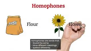 How do you identify homophones, homographs, and homonyms? | English Grammar
