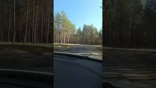 Поездка за грибами 14.09.23.Релакс.Природа