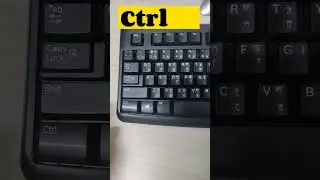 Cut Any File Or Folder Shortcut Key || Tech Bite Pro 