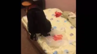 Неинтересное видео