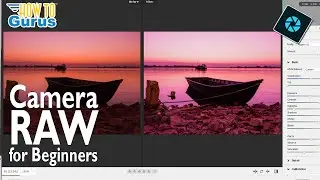 Master CAMERA RAW like a Pro in Photoshop Elements! [Easy BEGINNER Tutorial 📸]