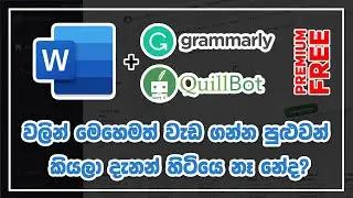 How to use Grammarly Premium and Quillbot at the same time in MS Word in Sinhala | 2021 New