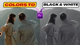 [ How to do color to Black and White Effect ] Adobe Premiere Pro Tutorial Easy Steps!