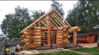 Сборка сруба из кедра Баня Морозово! Строительство БАНИ Канадская рубка!