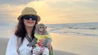 A beautiful day with children and a playful little monkey