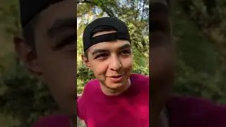 Каламбуры