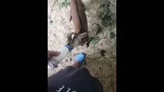 Доброе утро, кормим малышей #жизньвдеревне
