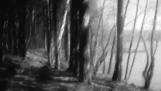 Диафрагма-щель на монокле.  Ещё один пример