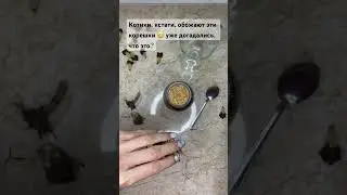 Их даже обожают котики 🐈 А нам помогают при бессоннице 🔥