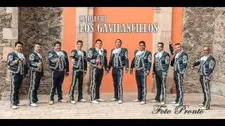 MARIACHI LOS GAVILANCILLOS( MAZATLAN)