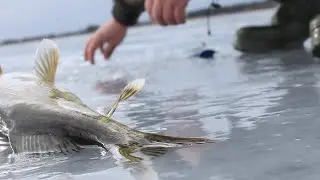 САМЫЙ ЛУЧШИЙ СПОСОБ  ПРИГОТОВИТЬ ЩУКУ. ЛОВЛЯ ЩУКИ НА ОЗЕРЕ ...