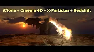 QnD XP-Test: 