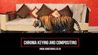 After Effects Chroma Compositing | Post Production Projects