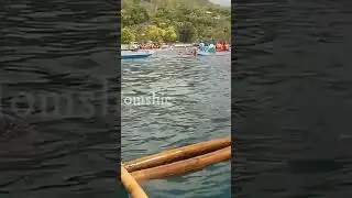 Whale Shark Watching, Oslob Cebu