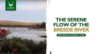 Calm flow of the Breede River
