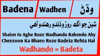 Learn Sindhi Language Course|Sindhi Difficult Words|Episode 01|Sindhi Sentence's Through Urdu Hindi