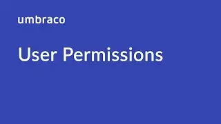 Users in Umbraco: User Permissions