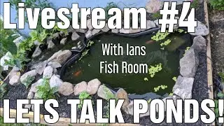 Lets Talk Ponds - With Ians Fish Room