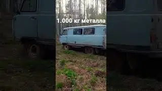 7 ноября 2022 г.