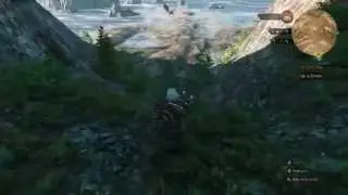 The Witcher 3 (Getter och strider)