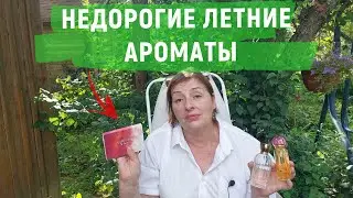 Что я носила этим летом? -  Шикарно и недорого