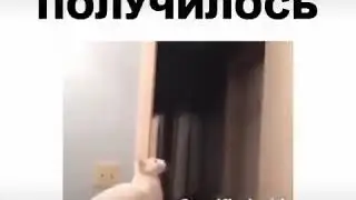 Прыгнул, не до прыгнул