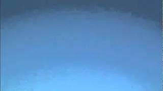 enforcer
