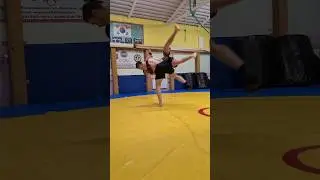 Немного борцовских техник.