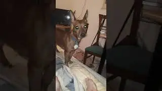 Игра