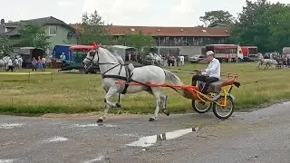 Fijakerijada u Mramorku 2018