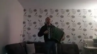 игра на баяне. 