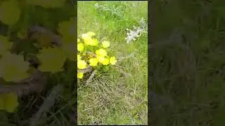 вторая вылазка за сезон!