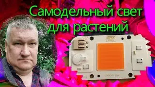 LED матрица для растений в старый прожектор. Новая аккумуляторная отвёртка SEQURE ES555.