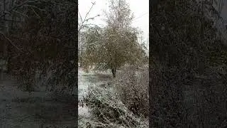 майский снег