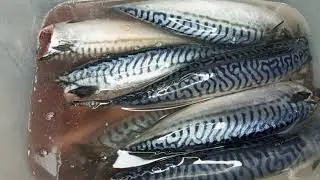 СКУМБРИЯ холодного копчения