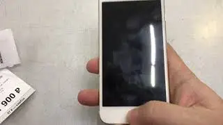 3 февраля 2023 г.