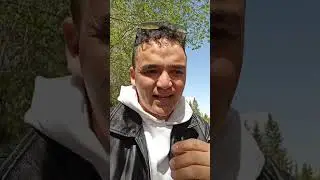 Марселька. вторая история из вахтёрской жизни 😂