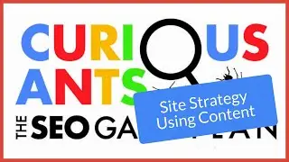 Website Strategy Focusing on Content Generation